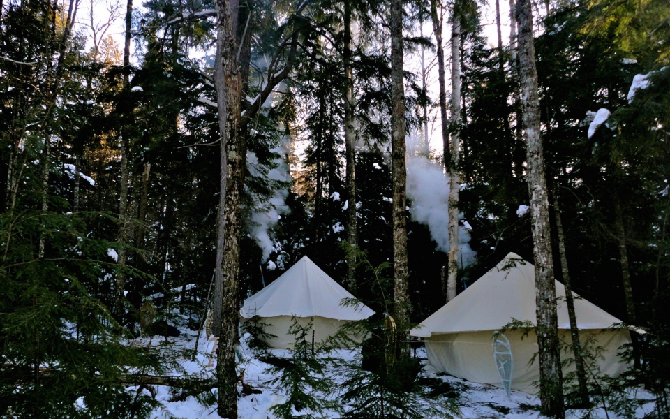 Winter Tents In A Glade