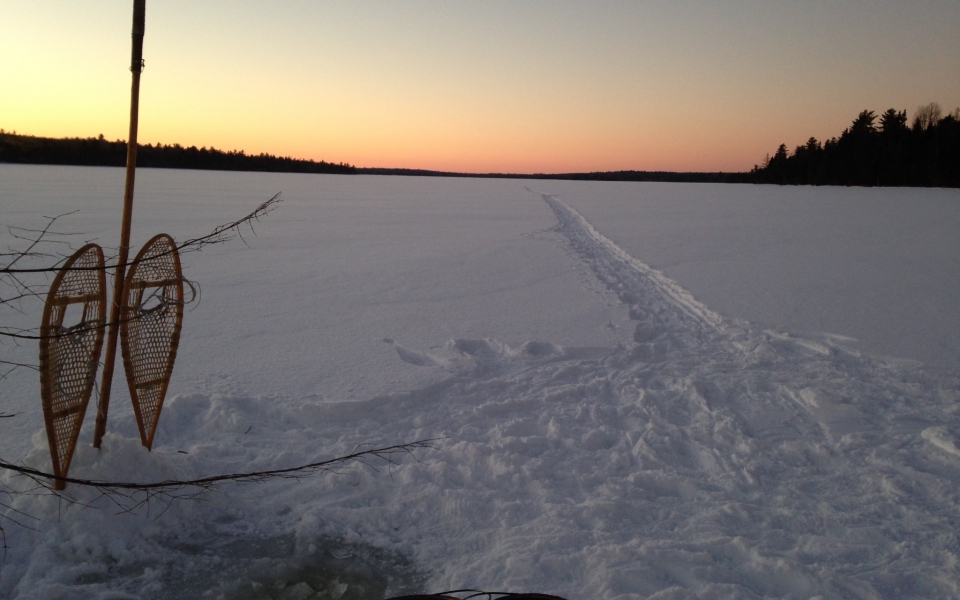 Boreal Snowshoe Expedition 