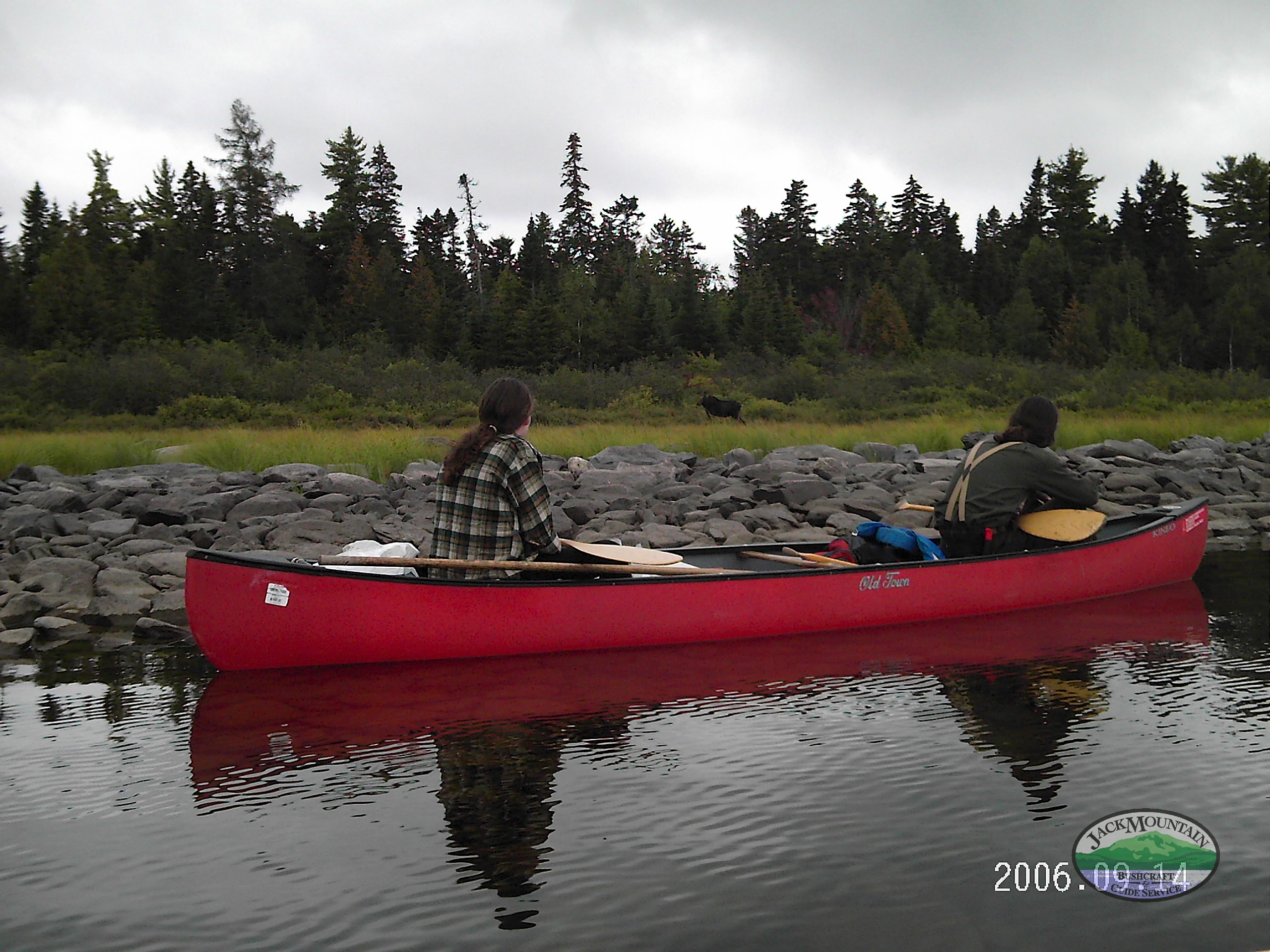 Paddling Past A Moose