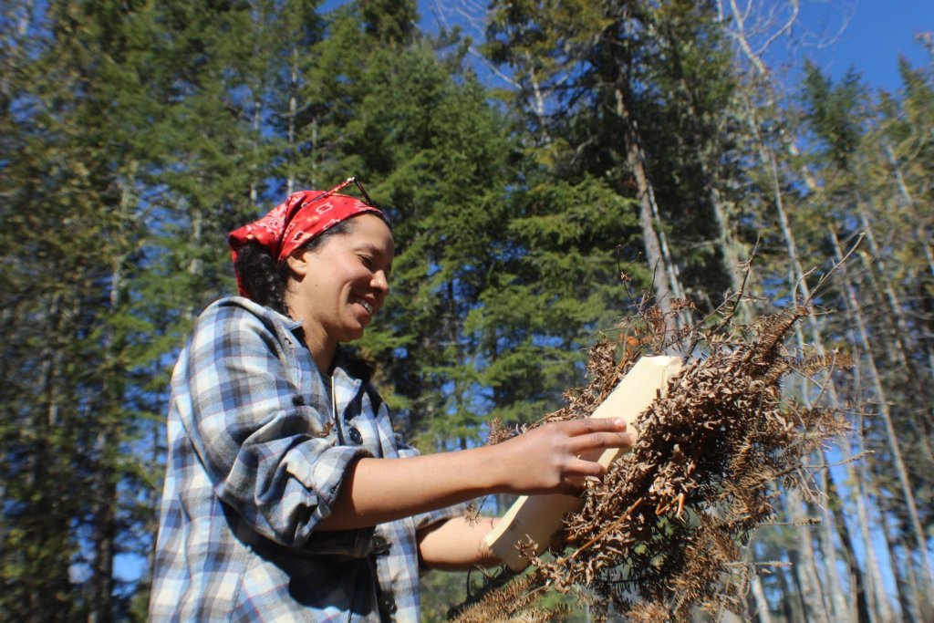 Tessa making a bow drill fire.